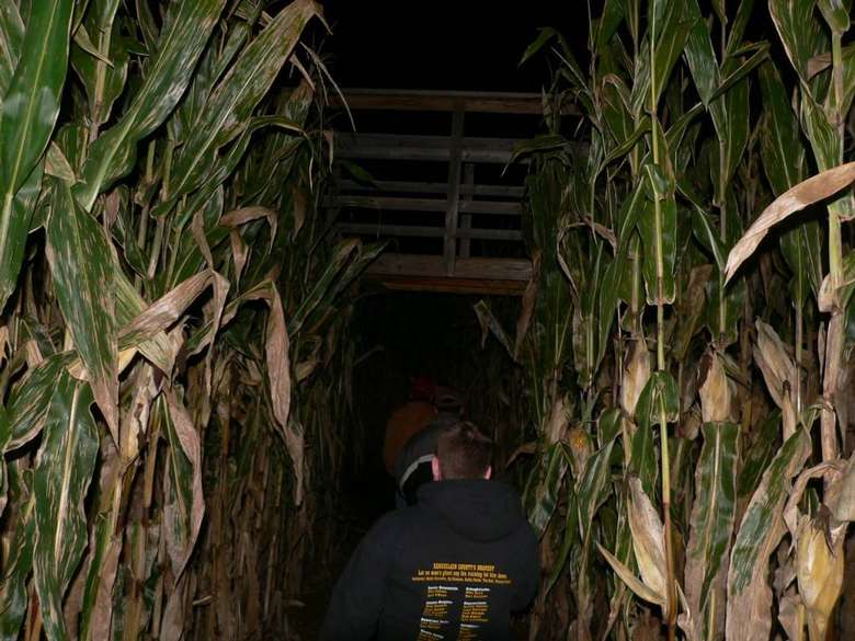 people walking through a corn maze at night