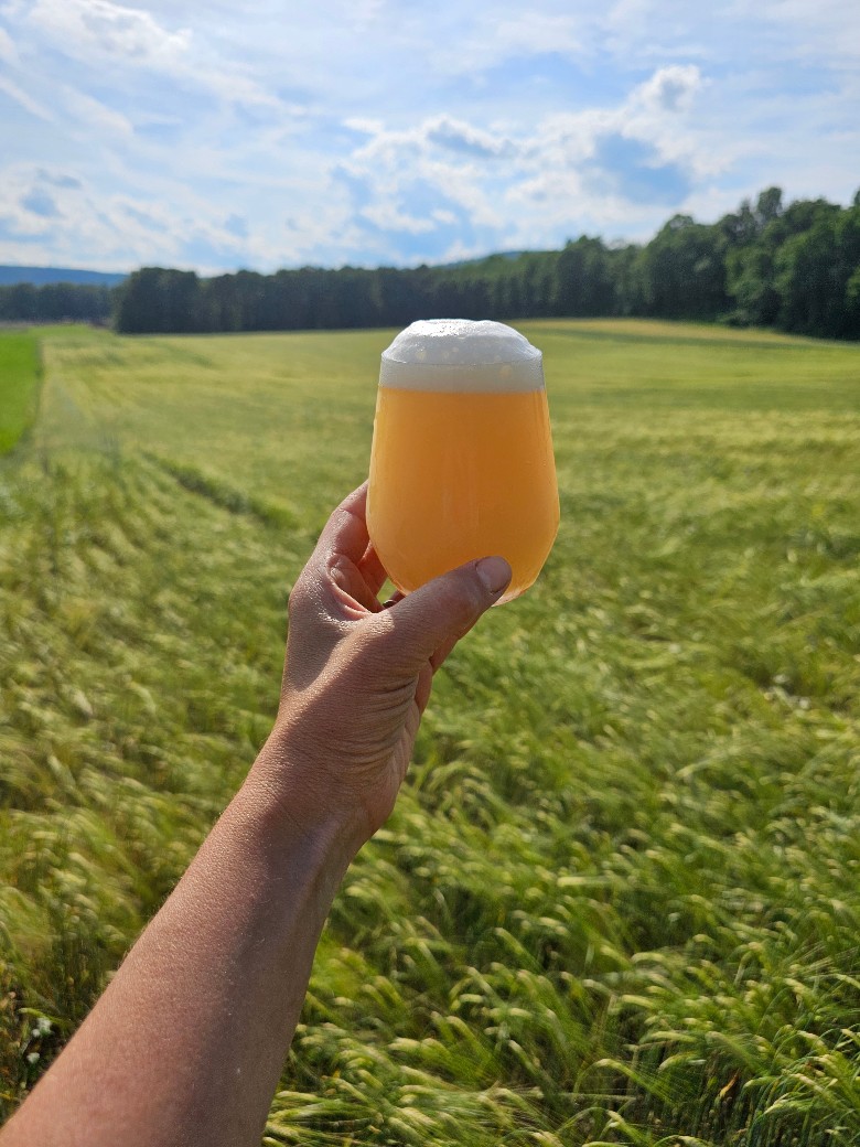 Crop Top Hazy NY IPA
