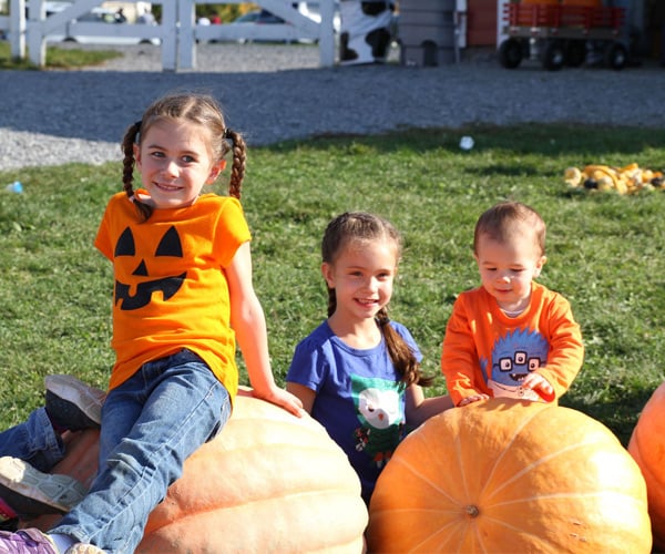 kids and pumpkins