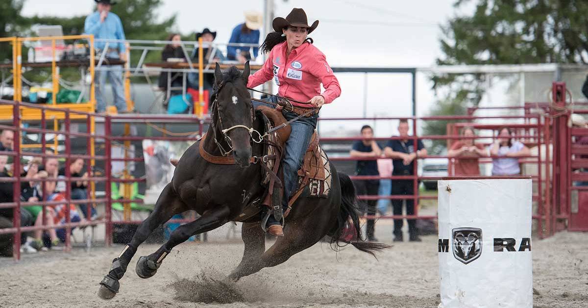 painted pony championship rodeo