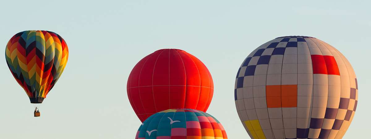 hot air balloons in the air
