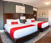 two beds in a hotel guest room