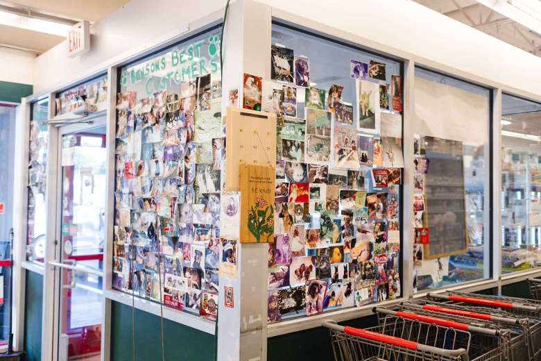 interior of pet shop