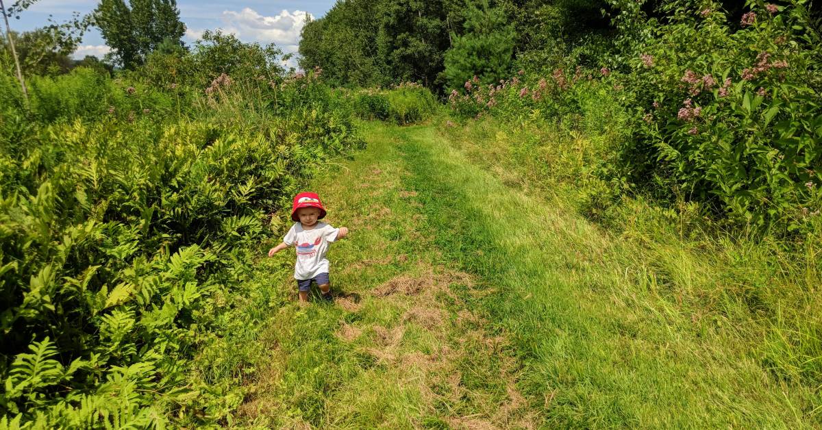 toddler at meadowbrook preserve in queensbury