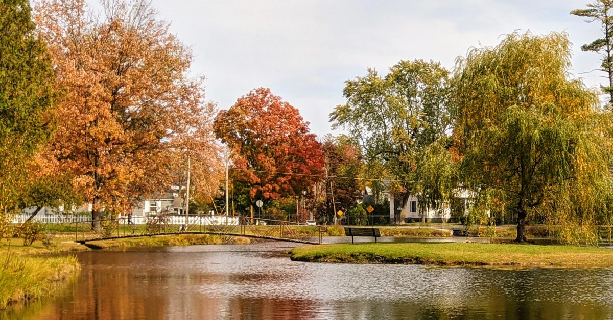 crandall pond in the fall