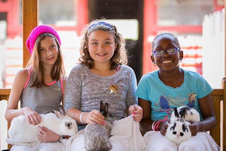 Three girls holding bunnies