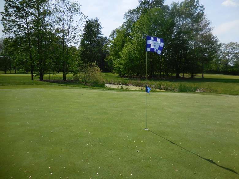 flag marking the hole on a well-manicured golf course