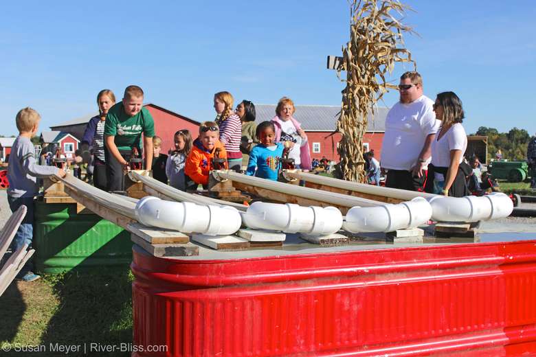 people watching rubber ducks compete in a race