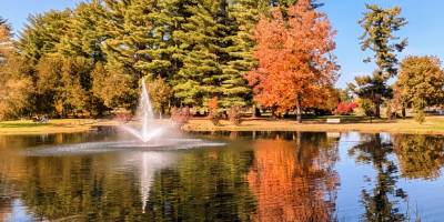 crandall park in fall