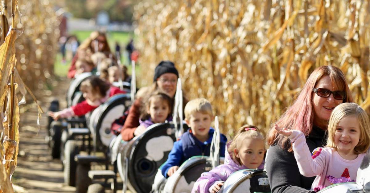 moo choo train going through corn maze at ellms family farm