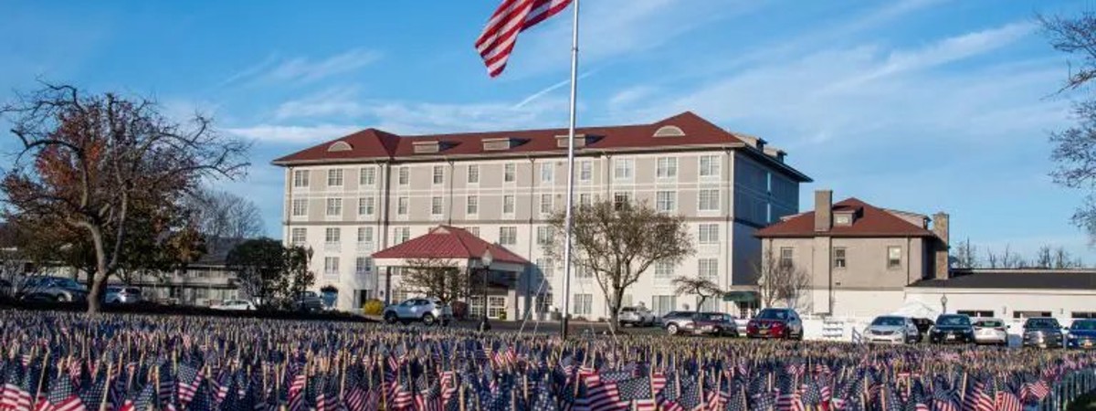 lots of flags lined up in a field