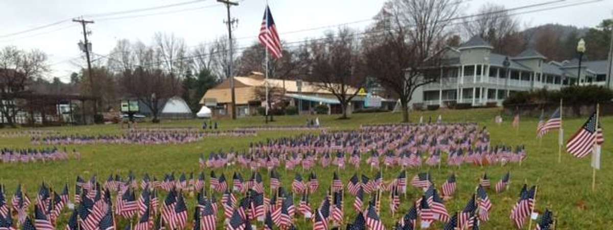 field of flags