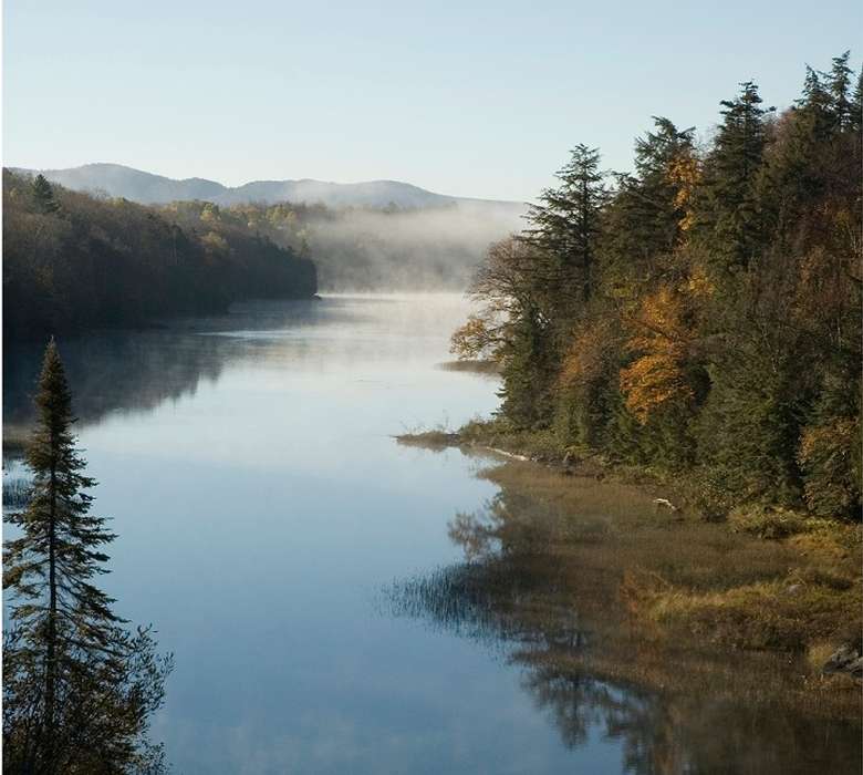 River with fog over it