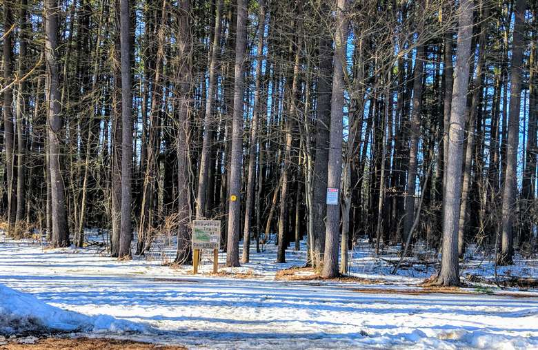 woods in winter with snowshoeing trail sign