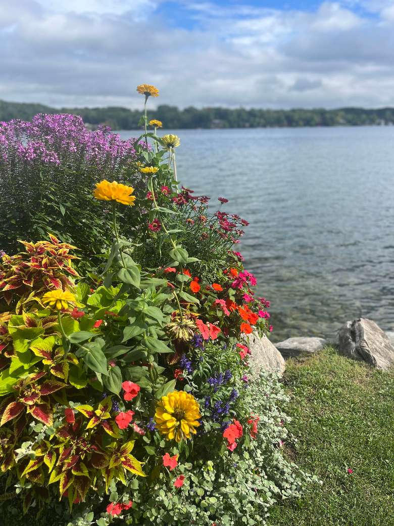 The flowers are beautiful in the summer