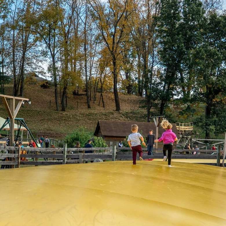 kids on a large jumping pillow
