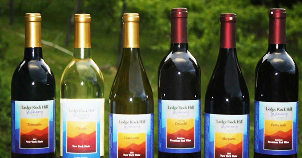 six wines lined up in a row