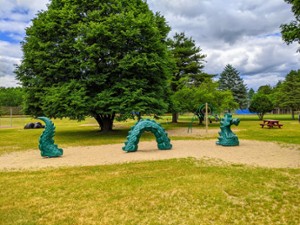 play structure dragon at park
