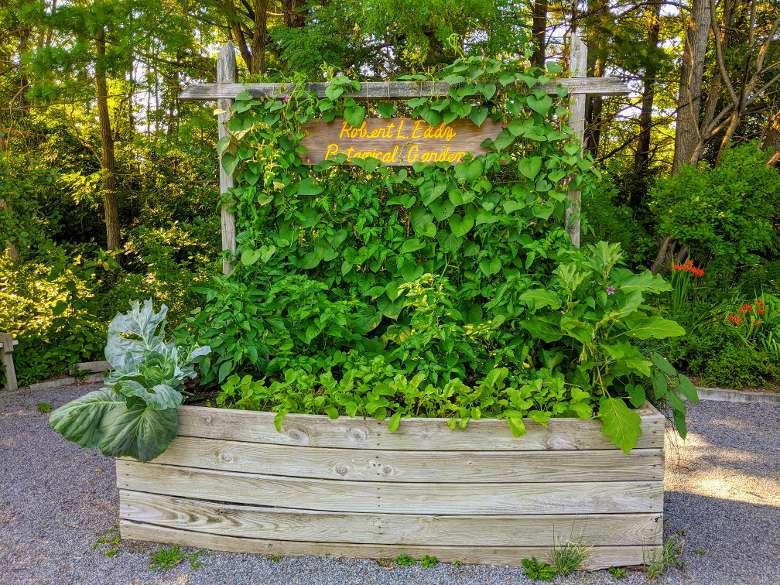 robert l. eddy botanical garden sign and raised garden bed