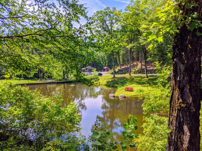 pond, red picnic tables