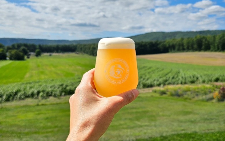 beer glass being held up towards a farm field