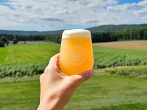 beer glass being held up towards a farm field