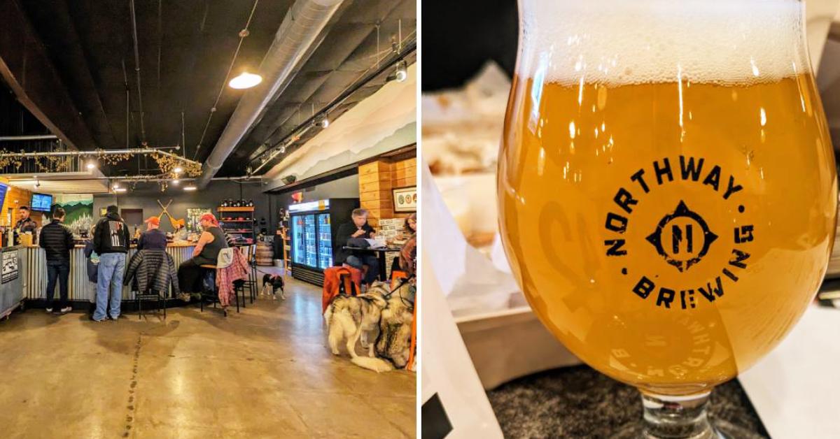 side by side photo of northway brewing cup with beer and the inside of the building with customers at the bar and a dog