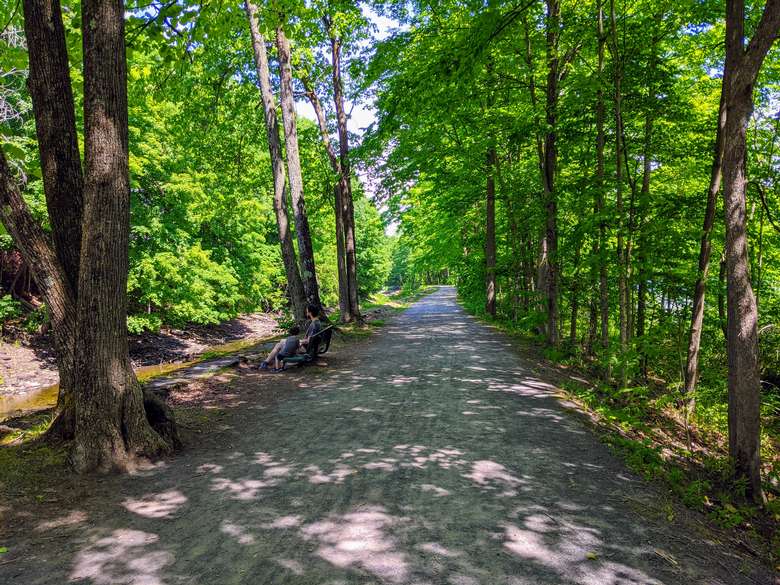 father and son on bench by trail
