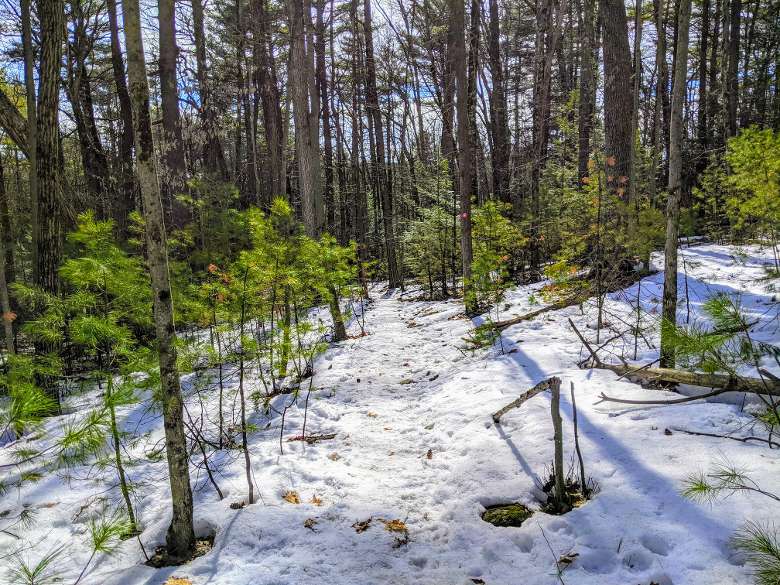 winter hiking path