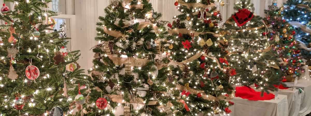 christmas trees in a row