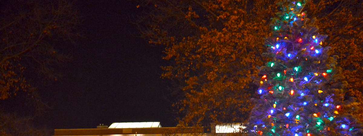 colorful christmas tree near building